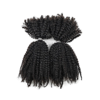 100% Human Hair Extensions Afro Kinky Bulk Hair Afro 4C for Braiding, Micro Twist,Locs